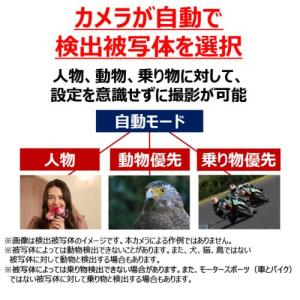 【長期保証付】CANON(キヤノン) EOS ...の詳細画像2