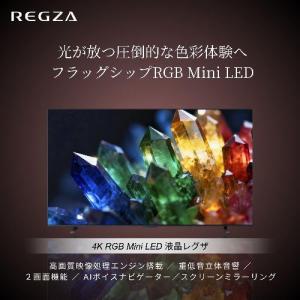 【標準設置料金込】【長期保証付】REGZA(レ...の詳細画像1