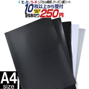 セット割5 約A4サイズ 約21cm×約30cm/3Dブラックは約20cm×約30cm 3D 4D