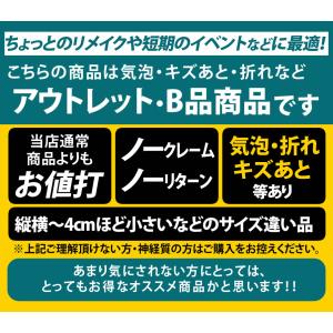 訳あり 1枚から可 変形A4サイズ約20cm×...の詳細画像2