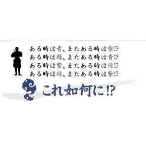 訳あり 1枚から可 変形A4サイズ約20cm×...の詳細画像4