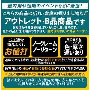 訳あり アウトレット品 屋内使用向け 約20c...の詳細画像2