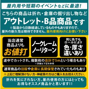 訳あり アウトレット品 屋内使用向け 約30c...の詳細画像2