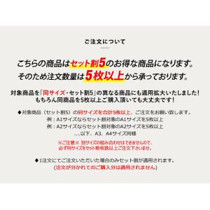 セット割5 屋内用 変形A4サイズ グリッター...の詳細画像2