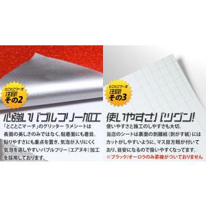 セット割5 屋内用 変形A4サイズ グリッター...の詳細画像5