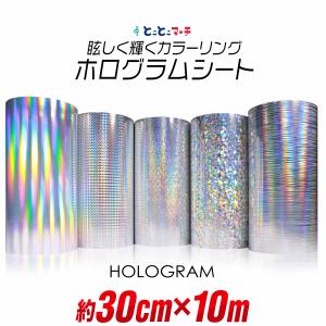 約30cm×約10m ホログラムシート ホログラムステッカー
