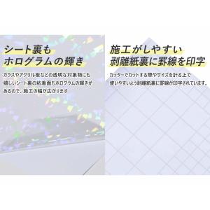 セット割5 変形A4サイズ 約20cm×約30...の詳細画像5