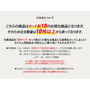セット割10 変形A4サイズ 約21cm×約3...の詳細画像2