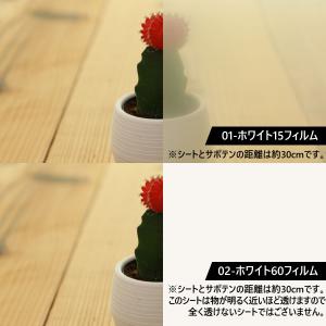 約30cm×約1m ウィンドウフィルム 窓用フ...の詳細画像3