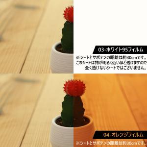 約30cm×約1m ウィンドウフィルム 窓用フ...の詳細画像4