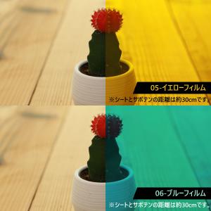 約30cm×約1m ウィンドウフィルム 窓用フ...の詳細画像5