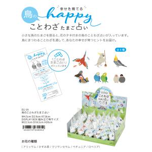 ペチュニア 種類 種 種子 の商品一覧 花 ガーデニング 通販 Yahoo ショッピング