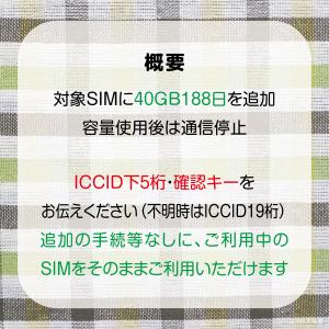 [リチャージ] 40GB 最長188日 (容量...の詳細画像1
