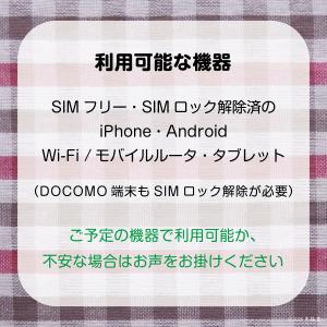 [10GB 最長180日](容量使用後は通信停...の詳細画像3