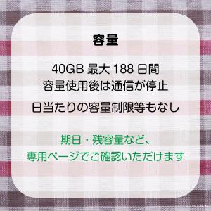 [40GB 最長188日](容量使用後は通信停...の詳細画像1