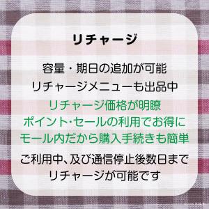[40GB 最長188日](容量使用後は通信停...の詳細画像2