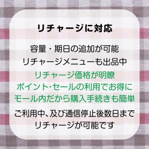 [0.5GB 2日間](容量使用後は200kb...の詳細画像3