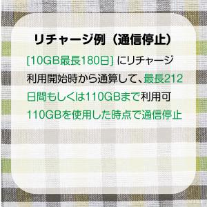 [リチャージ] 100GB 182日間 (容量...の詳細画像3