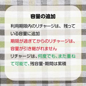 [リチャージ] 100GB 182日間 (容量...の詳細画像5