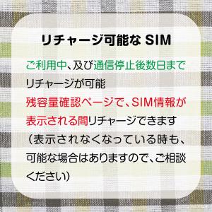 [リチャージ] 50GB 16日間 (容量使用...の詳細画像2