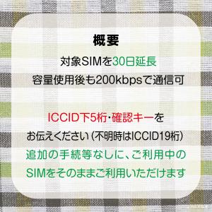 [リチャージ] 0.1GB(100MB) 30...の詳細画像1