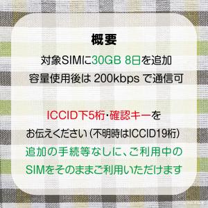 [リチャージ] 30GB 8日間 (容量使用後...の詳細画像1