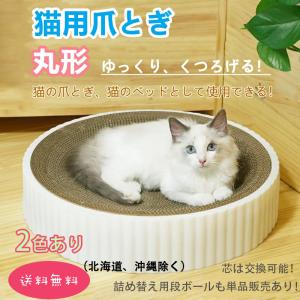 スーパーセール 猫爪とぎ 人気 猫用爪とぎ Lサイズ 時空コンパス