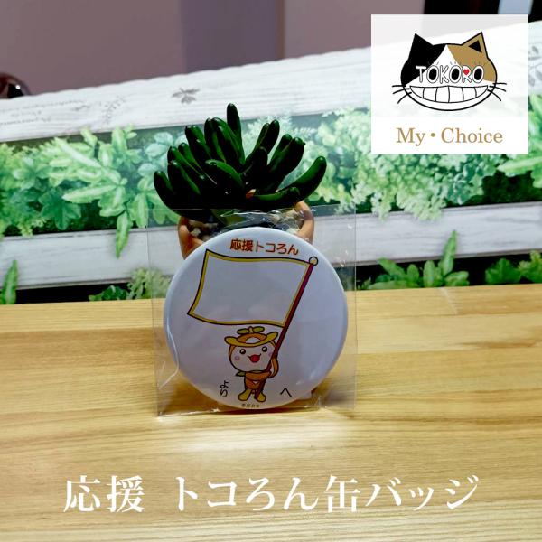 缶バッジ 応援 メッセージ キャラクター トコろん カスタマイズ 限定 かわいい 缶バッチ 安全ピン...