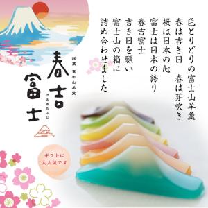ギフト プレゼント にも まとめ買い 春吉富士...の詳細画像2