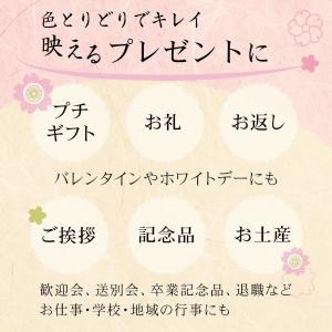 ギフト プレゼント にも まとめ買い 春吉富士...の詳細画像3