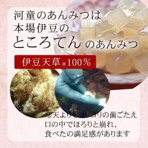 あんみつ 自家消費用 簡易パック 16食 セッ...の詳細画像4