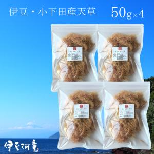 国内産ところてんぐさ 500g（お徳用・業務用） テングサ てんぐさ
