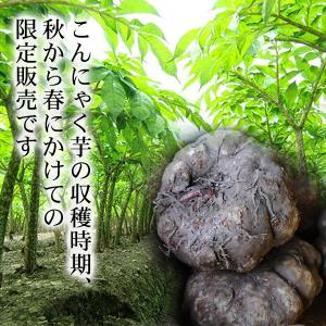 生芋こんにゃく 新物 令和8年度産 2個セット...の詳細画像1