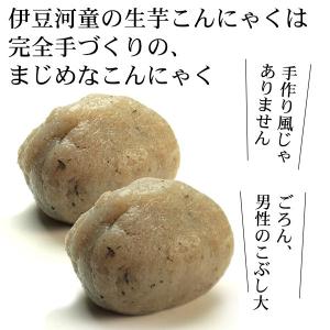 生芋こんにゃく 新物 令和8年度産 2個セット...の詳細画像2