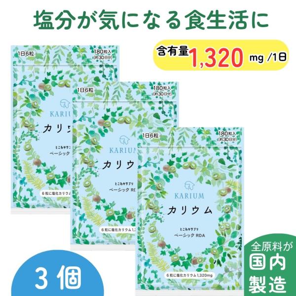 ＜3個セット＞ 【すべての原料が国内製造】安心のカリウム1,320mg キウイパウダー配合 【1日6...