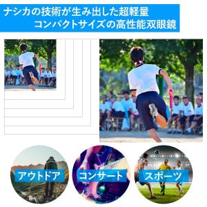 ナシカ 10倍双眼鏡 双眼鏡 NASHICA ...の詳細画像2