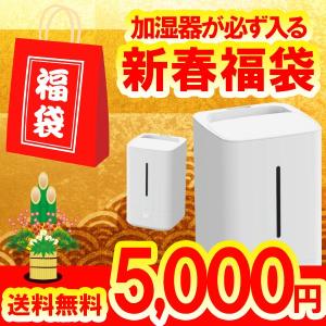 【1月17日頃から随時】【2020年新春福袋】ハイブリッド加湿器 が必ず入る！ 雑貨などを詰め込みました/福袋 ハイブリッド加湿器