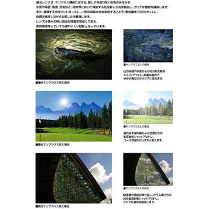 専用ケース付き Coleman 偏光サングラス...の詳細画像3