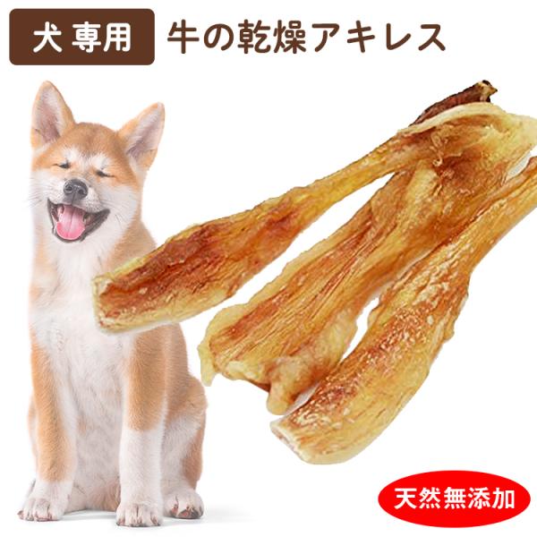 牛アキレス 約50g 完全無添加 犬 おやつ 歯磨き用にも ドッグフード しつけ ご褒美 ストレス発...