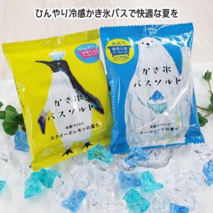 入浴剤 バスソルト 2種類セット お風呂 日本製 冷感 爽快