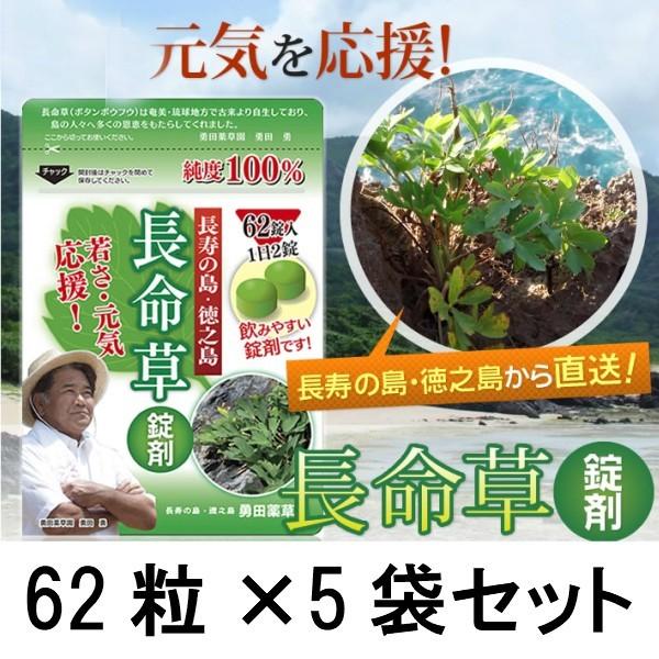 長命草 錠剤 5袋セット 1袋 62錠入り サプリメント ボタンボウフウ 送料無料 サプリ 飲みやす...