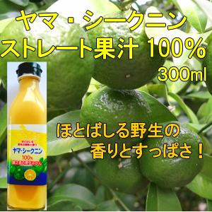 ヤマシークニン 食品 の商品一覧 通販 Yahoo ショッピング