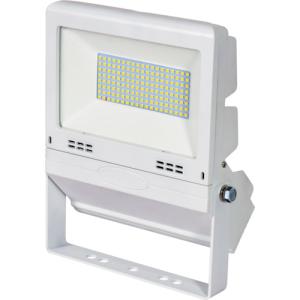 日動 NICHIDO LED交換球 エコビック100W E39 昼白色 ワイド L100W-E39J
