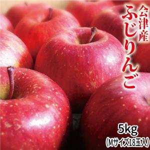 【ご家庭向け】ふじりんご 5kg（Mサイズ18玉入）会津産 ※九州は送料別途500円・沖縄は1000円