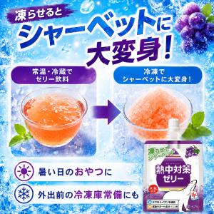 熱中対策ゼリー ぶどう味 150g×24袋 赤...の詳細画像5