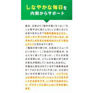 【調剤薬局オリジナル】 軟骨成分 P+ プロテ...の詳細画像3