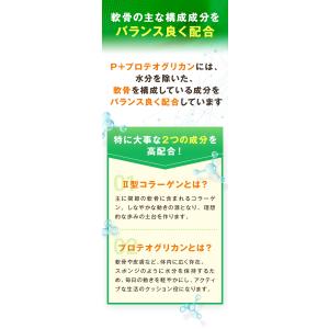 【調剤薬局オリジナル】 軟骨成分 P+ プロテ...の詳細画像4