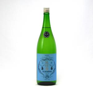 バカルディ スター オブ ボンベイ ジン 750ml 国内終売品 送料無料