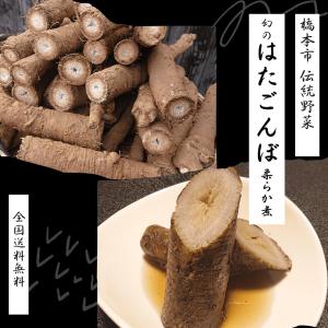 【和歌山伝統野菜】はたごんぼ 柔らか煮(200g×2)《伝統 希少 不思議 ごぼう 名産 特産 橋本》｜tokusa-shop