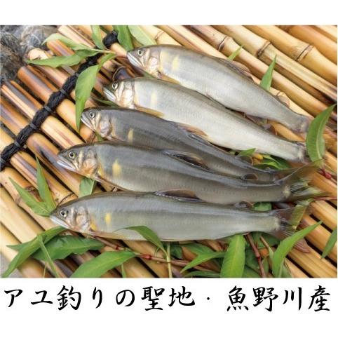 新潟県魚野川産 天然鮎 活〆-６０．０℃急速冷凍 ５匹 Lサイズ（90.0ｇ〜110.0ｇ）